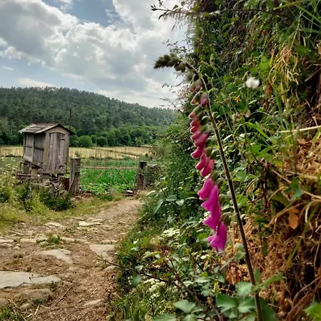 Casa Do Caneiro Casa de Férias