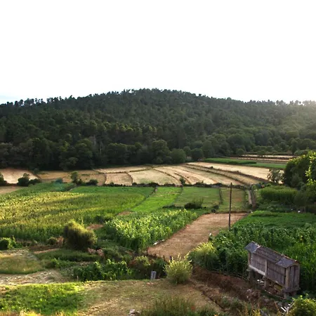 Casa Do Caneiro * 维拉·雷阿尔