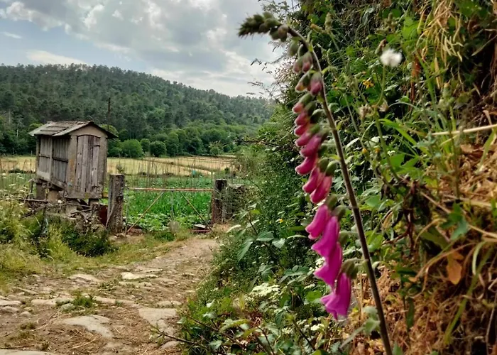 Casa Do Caneiro Hébergement de vacances