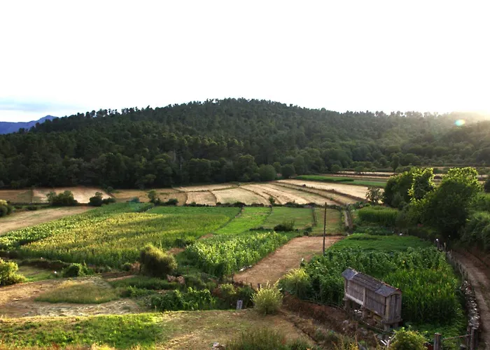 Casa Do Caneiro * 维拉·雷阿尔
